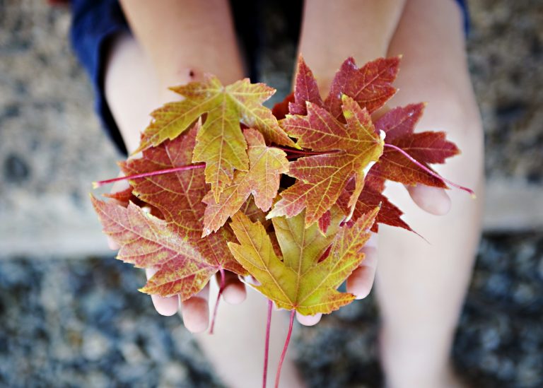 Foto reprezentativă: Octombrie, 1 octombrie 2010, ©Bree H