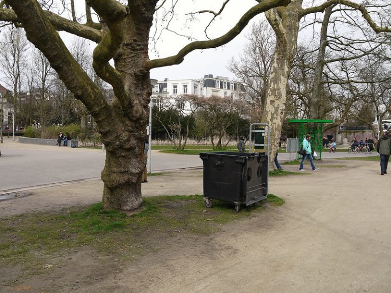 Foto: Natură urbană din Amsterdam cu un copac goi în parcul Vondelpark, 7 aprilie 2016. Sursa: Fons Heijnsbroek