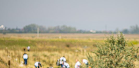 Foto: Ziua de Curățenie Națională , ©Let's do it, Romania