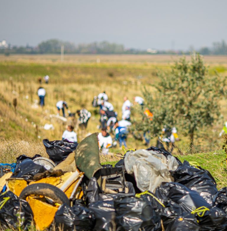 Foto: Ziua de Curățenie Națională , ©Let's do it, Romania