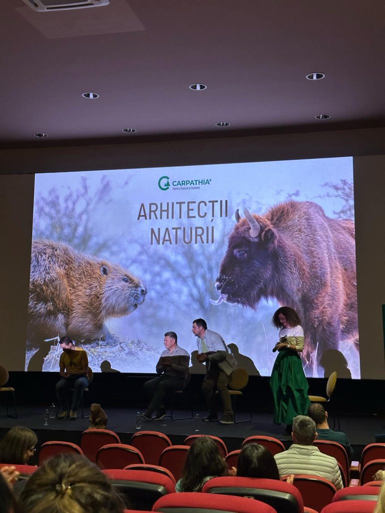 Foto: Avanpremieră documentar Arhitecții Naturii, ©Fundația Conservation Carpathia