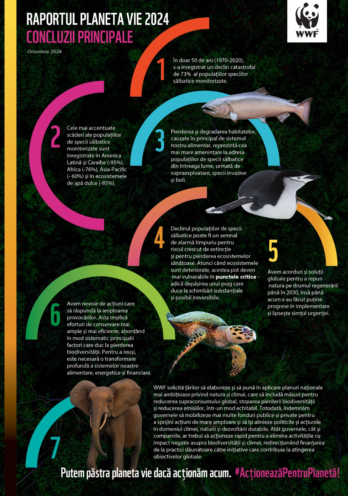 Poster: Interdependenta in natura. Sursa: WWF