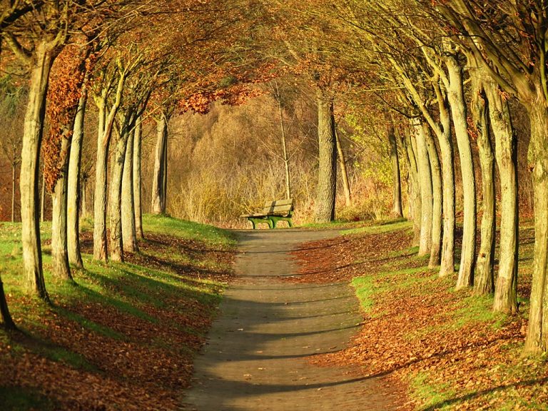 Foto reprezentativă: Tunel magic, 6 decembrie 2011, ©Rainer Schutz | Flickr