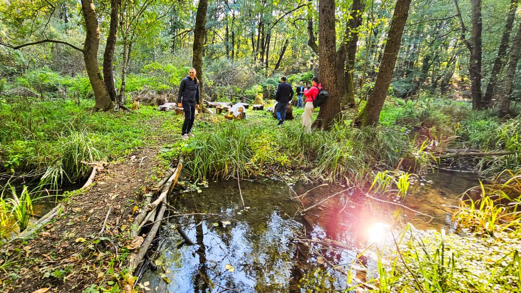 Foto: Întâlnire pentru Centura Verde între autorități și activiști, Pădurea Balotești, ©Alex Găvan