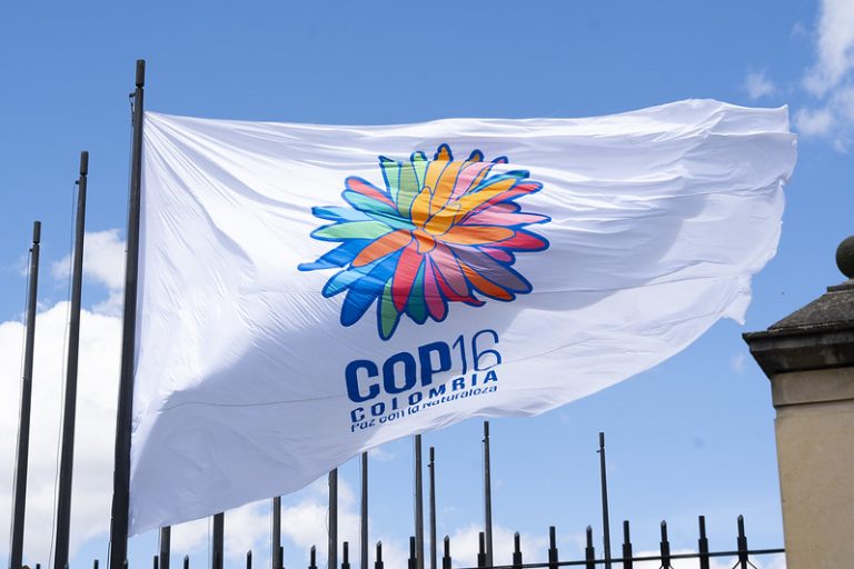 Foto: Izada de Bandera, COP16, 13 octombrie 2024, César Carrión