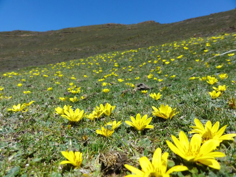Foto reprezentativă: Peisaj Lesotho, Africa de Sud, 13 august 2014, ©Sterna999