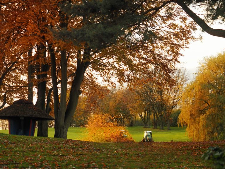 Foto reprezentativă: Toamnă pe terenul de golf, 17 noiembrie 2017, ©Ostseeleuchte
