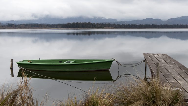 Foto reprezentativă: Noiembrie, 26 noiembrie 2018, ©Bernhard Niedermeier