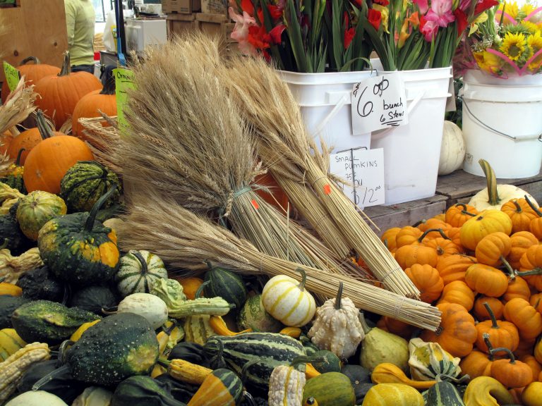 Foto reprezentativă: Afișare de toamnă, 20 septembrie 2010, ©Douglas Sprott