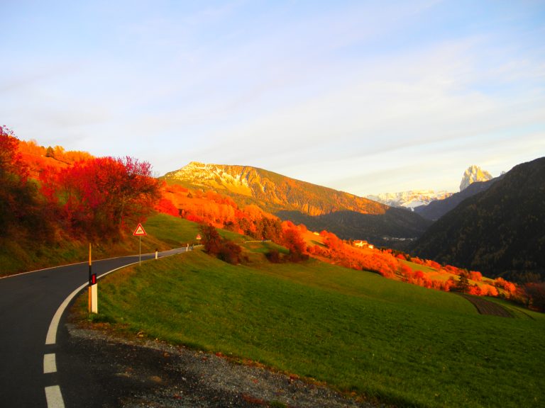 Foto reprezentativă: Noiembrie 410, 4 noiembrie 2010, ©Marco Lelio Menesini