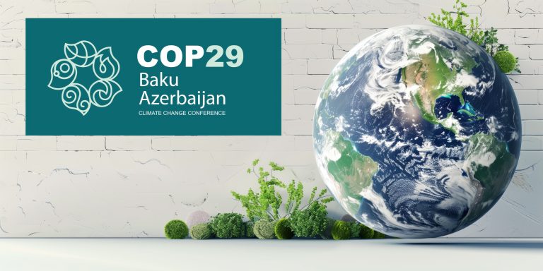UE, între leadership climatic și pragmatism: contradicții și așteptări la COP29