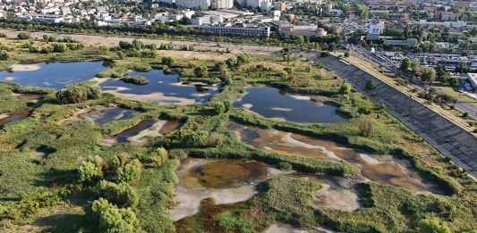 Foto: Parcul Natural Văcărești, ©Platforma de Mediu pentru București