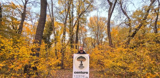 Foto: Pădure care va face parte din viitoarea Centură Verde București-Ilfov, după adoptarea codului silvic, octombrie 2024. Foto: centuraverde.ro