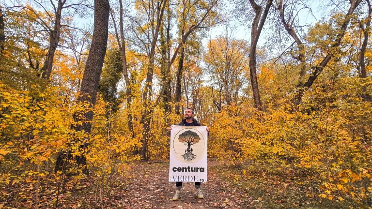 Foto: Pădure care va face parte din viitoarea Centură Verde București-Ilfov, după adoptarea codului silvic, octombrie 2024. Foto: centuraverde.ro