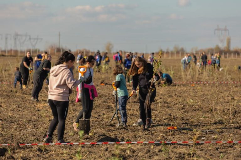 Foto: Acțiune de plantare campanie România Plantează, ©Act for Tomorrow