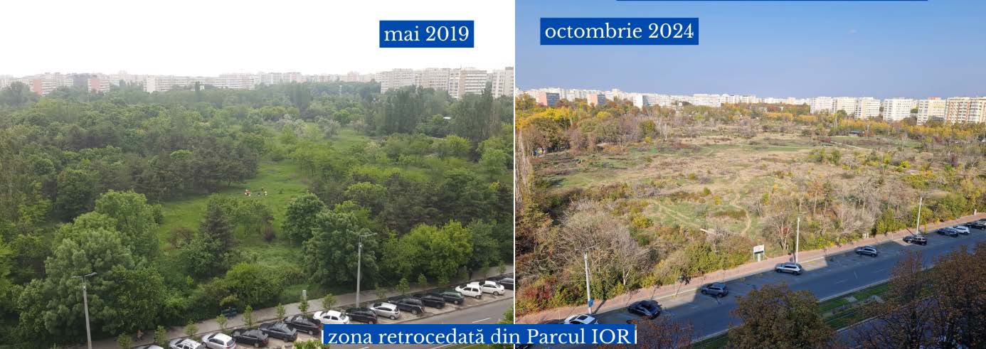 Foto: Zona retrocedată din Parcul IOR, Bucureşti - inainte şi după defrişare Sursa: Mișcarea civică Aici a fost o pădure / aici ar putea fi o pădure