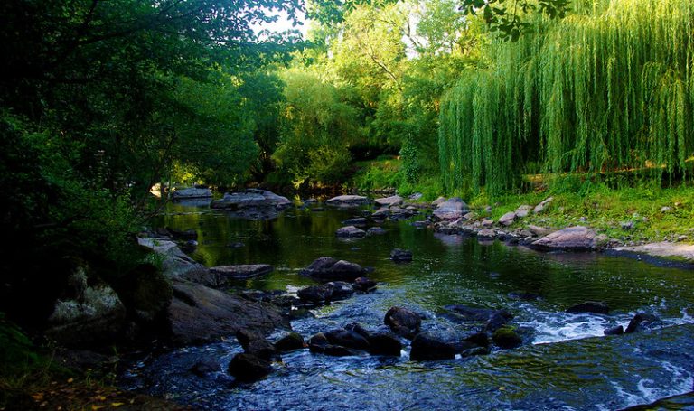 Foto reprezentativă: Tiffauges, Franța, 19 august 2017, ©manguy bruno
