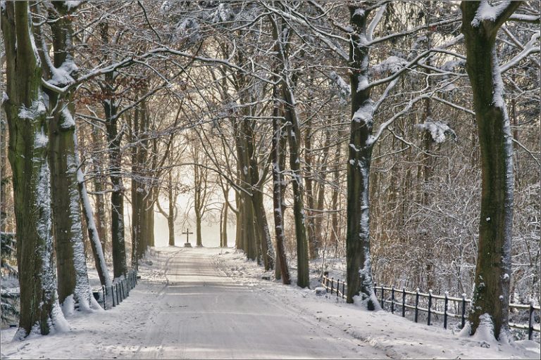Foto reprezentativă: Iarna se întoarce, 20 decembrie 2010, ©Bert Kaufmann