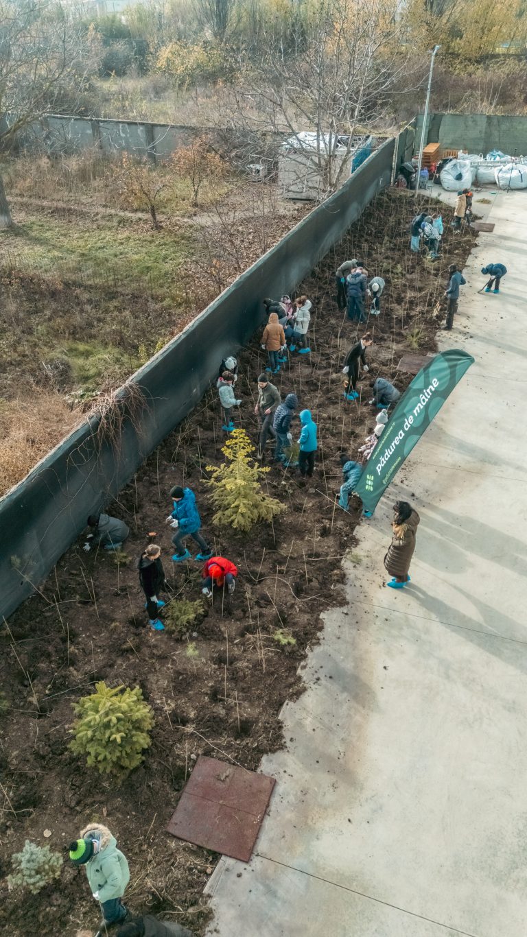 Foto: Acțiune de plantare mini pădure școlară, ©Fundația Pădurea de Mâine