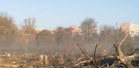 Foto: Distrugerea zonei retrocedate din IOR/Arhivă personală activist de mediu