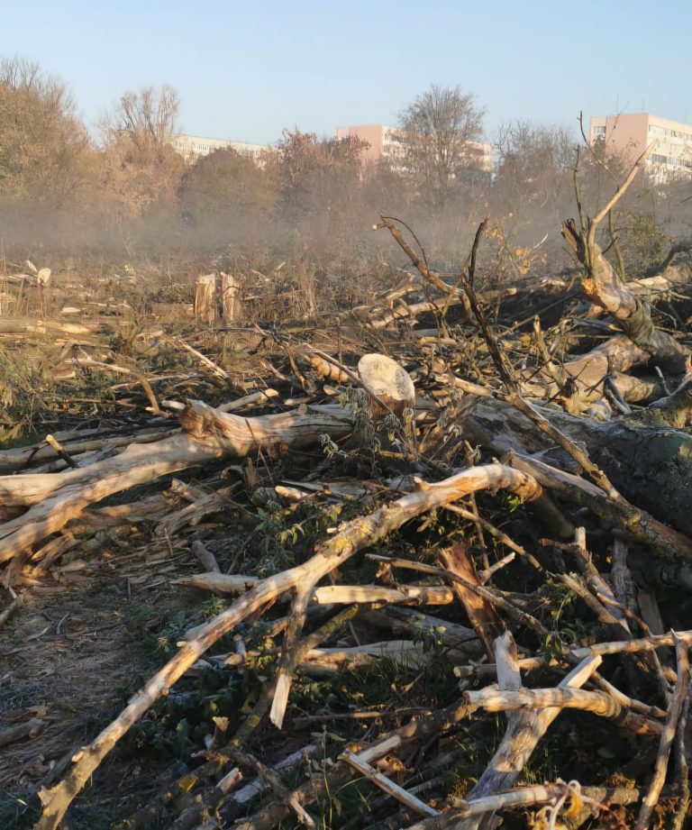 Foto: Distrugerea zonei retrocedate din IOR/Arhivă personală activist de mediu