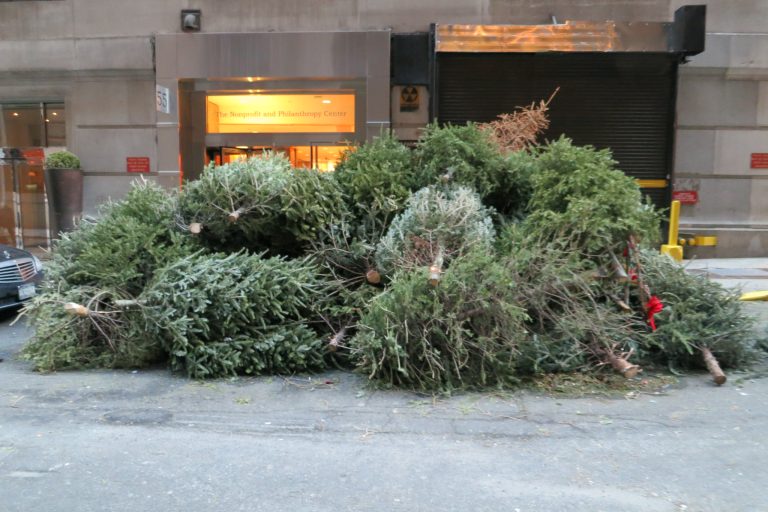 Foto: Brazi de Crăciun aruncaţi pentru colectare ca şi gunoi, în New York City, S.U.A., 13 ianuarie 2014 Sursa: cereid2 | Flickr