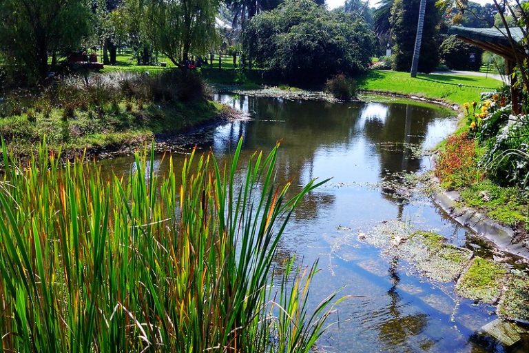 Foto reprezentativă: Juncos, Puerto Rico, 21 februarie 2015, ©Ivanchofotos