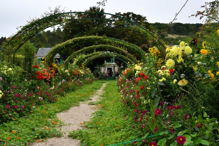 Foto reprezentativă: Minunatele grădini din Giverny, Normandia, 21 august 2017, ©Annelise