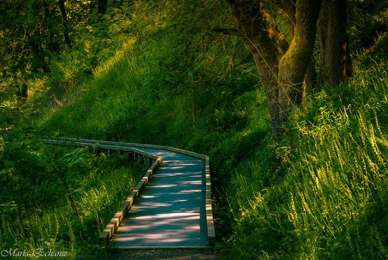 Foto reprezentativă: Drumeție urbană, 19 aprilie 2016, ©Maria Echaniz