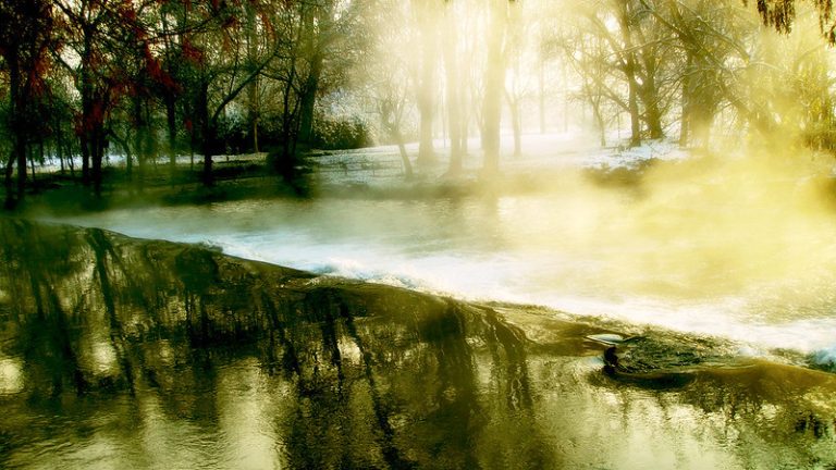 Foto reprezentativă: Parcul Lambro din Milano, 7 decembrie 2012, ©yaoayao55
