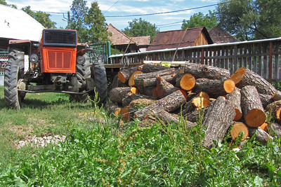 Foto: Tractor şi buşteni, Breb, 29 august 2012 Sursa: Steven Mullin | Flickr