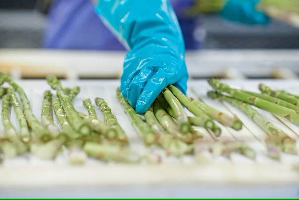 Foto: Selecţie pe bandă în industria alimentară  Sursa: SGS