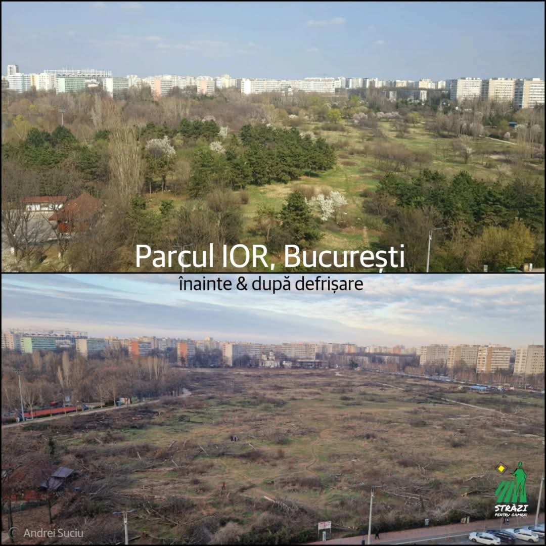 Foto: Defrișări în partea retrocedată a parcului IOR, București Sursa: Aici a fost o pădure / aici ar putea fi o pădure