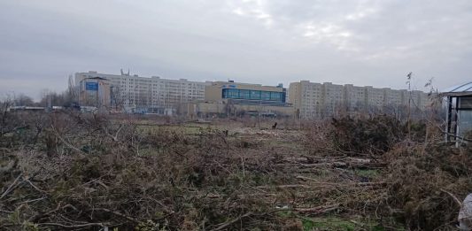 Foto: Defrișări în partea retrocedată a parcului IOR, București Sursa: Aici a fost o pădure / aici ar putea fi o pădure
