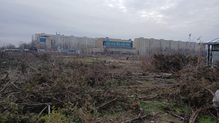 Foto: Defrișări în partea retrocedată a parcului IOR, București Sursa: Aici a fost o pădure / aici ar putea fi o pădure