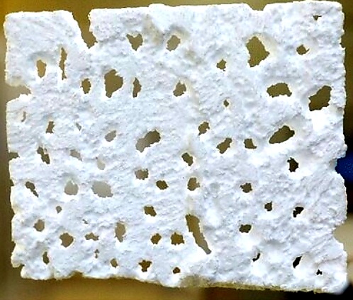Foto reprezentativă: Polistiren consumat de larva keniană, ©ResearchGate