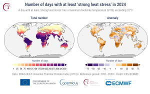 Numărul de zile din 2024 în care s-a înregistrat „stres termic puternic”, în funcție de temperatura maximă zilnică resimțită care a depășit 32°C. Stânga: Numărul total de zile. Dreapta: Anomalii ale numărului de zile, în raport cu media pentru perioada de referință 1991-2020. Temperatura resimțită pe baza indicelui termoclimatic universal (UTCI). Sursa datelor: ERA5-HEAT UTCI. Credit: C3S/ECMWF.