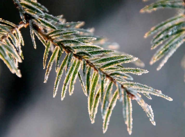 Foto reprezentativă: E frig, 6 ianuarie 2015, ©Jane Olsson