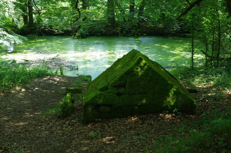 Foto reprezentativă: Un loc verde liniștitor, 12 iunie 2018, ©Carol