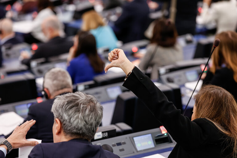 Broasca râioasă a Comisiei: Europarlamentarii înghit greu programul pe 2025