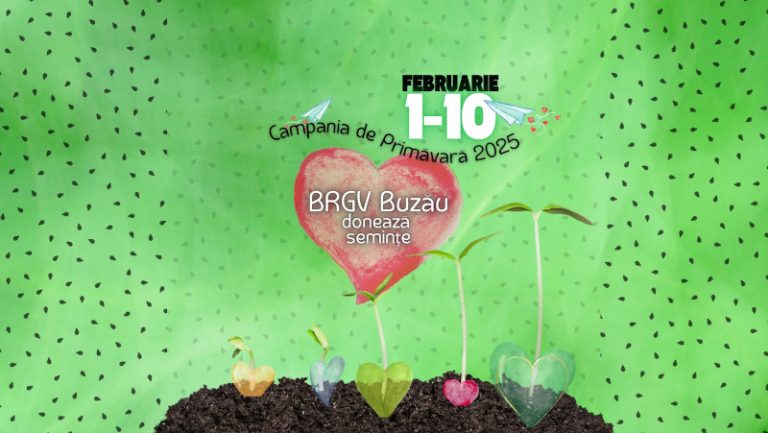 Vrei să cultivi spanac urcător, crizantemă comestibilă sau kiwano? Ia gratuit un kit cu semințe