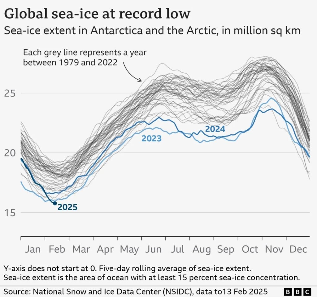 Infografic NSIDC, publicat de BBC, 13 februarie 2025