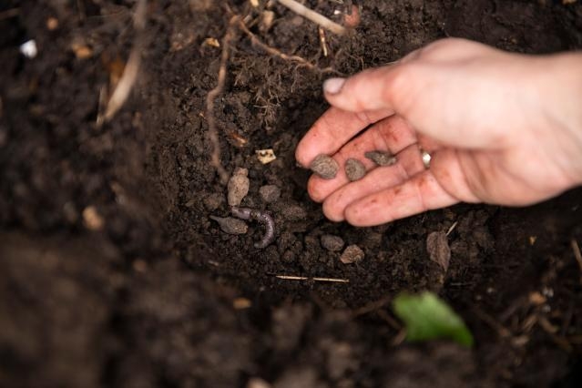 Viziunea Comisiei Europene pentru agricultură: promisiuni mari, detalii vagi