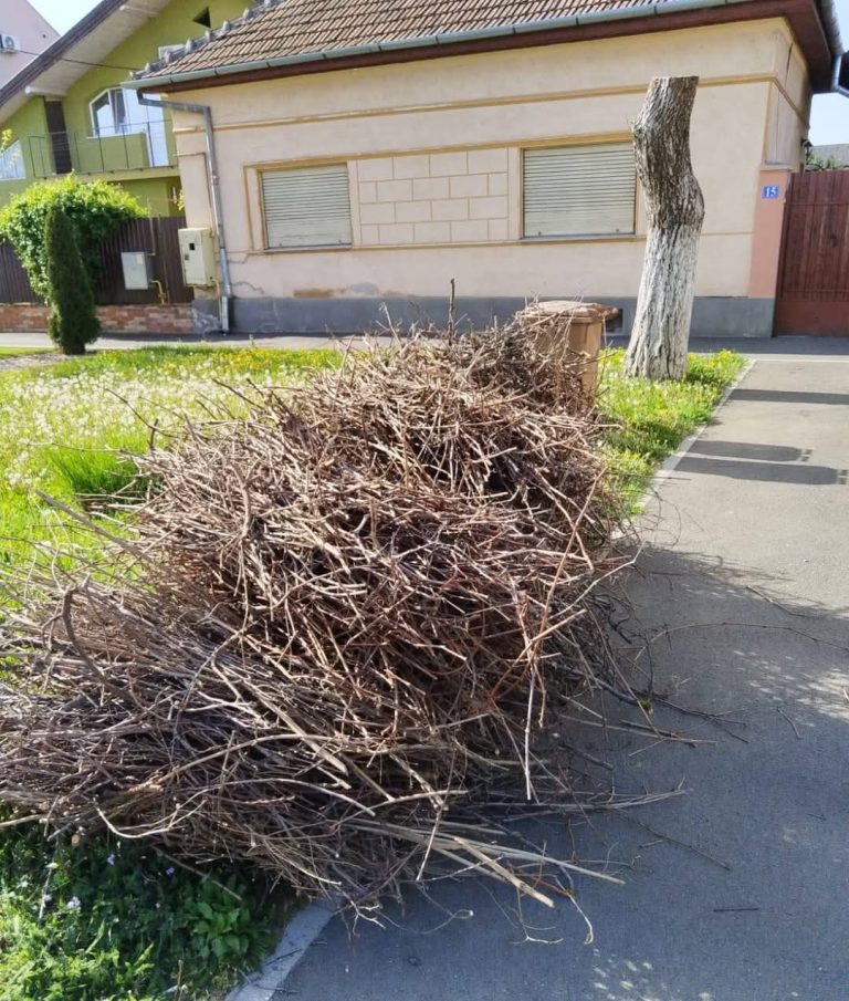 Foto reprezentativă: Biodeșeuri spațiu verde Arad, Primăria Arad/Fb