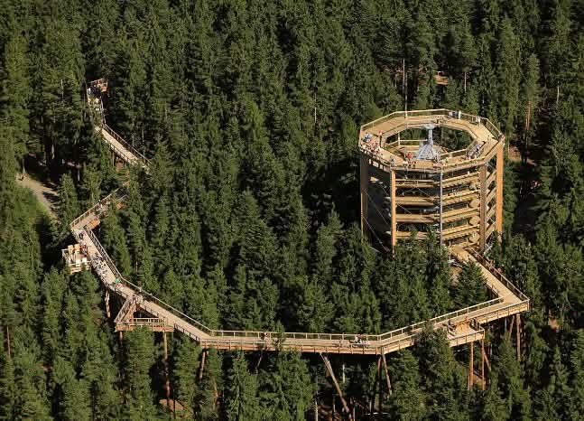 Foto: Potecă în vârful arborilor, ©Primăria Municipiului Brașov/Fb