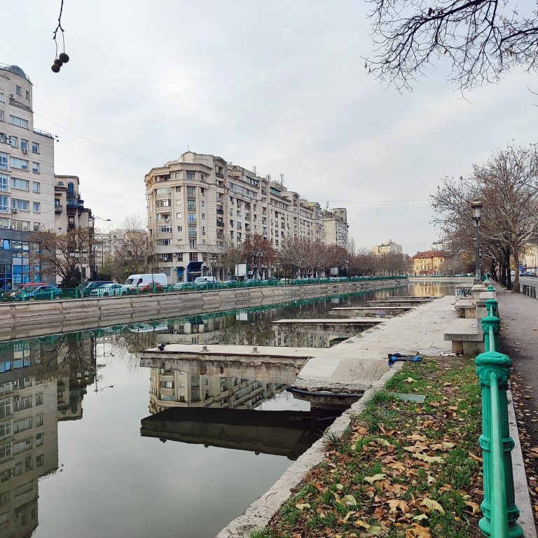 Foto: Zona de întâlnire eveniment de plantare Dâmbovița apă dulce 2025, Grupul de Iniţiativă Civică Cişmigiu/Facebook