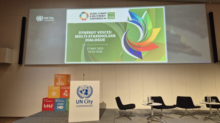 Scena Conferinței Globale privind Clima și Sinergiile ODD 27 mai 2025, Sursa foto: Arhiva Green Report