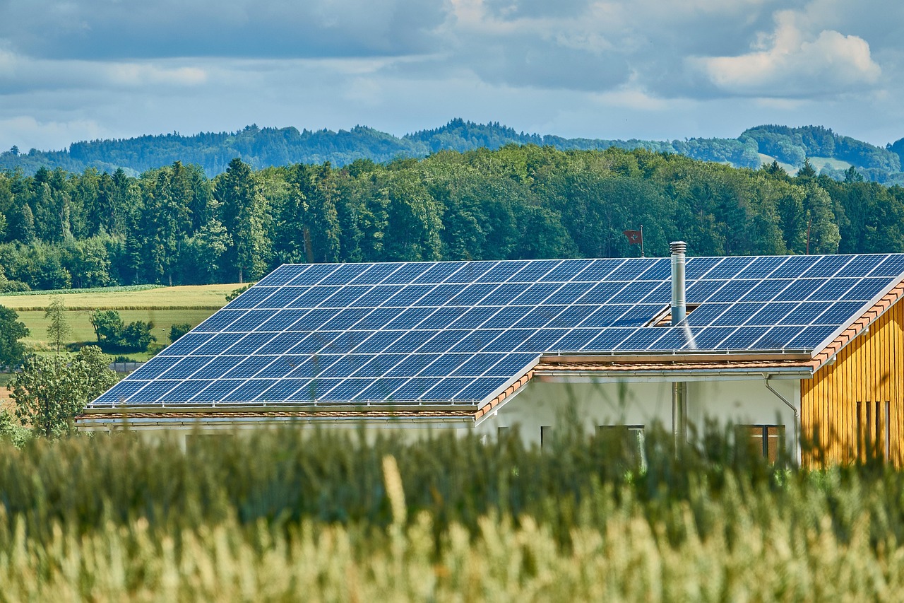 Cum faci economii cu panourile fotovoltaice