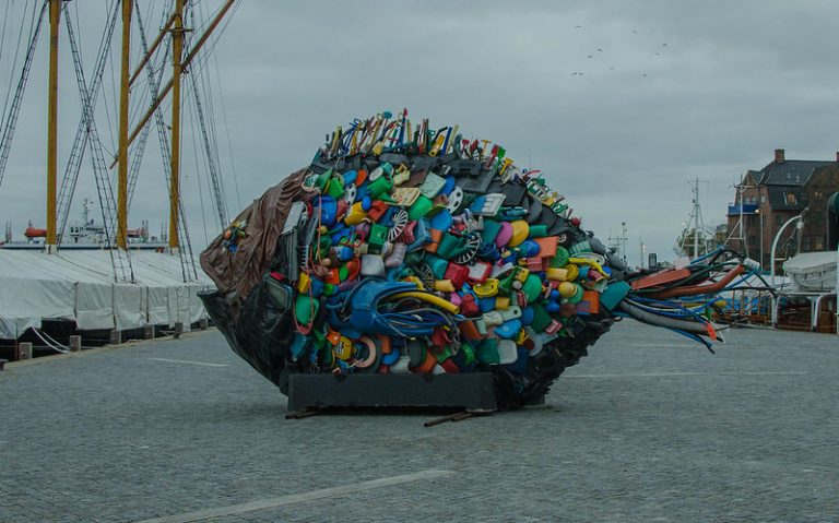 Foto: Sculptură în formă de pește împotriva poluării plastice, 21 noiembrie 2018, ©Frank
