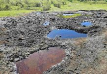 Foto: Izvoarele de Petrol de la Beciu, @Geoparcul Tinutul Buzaului